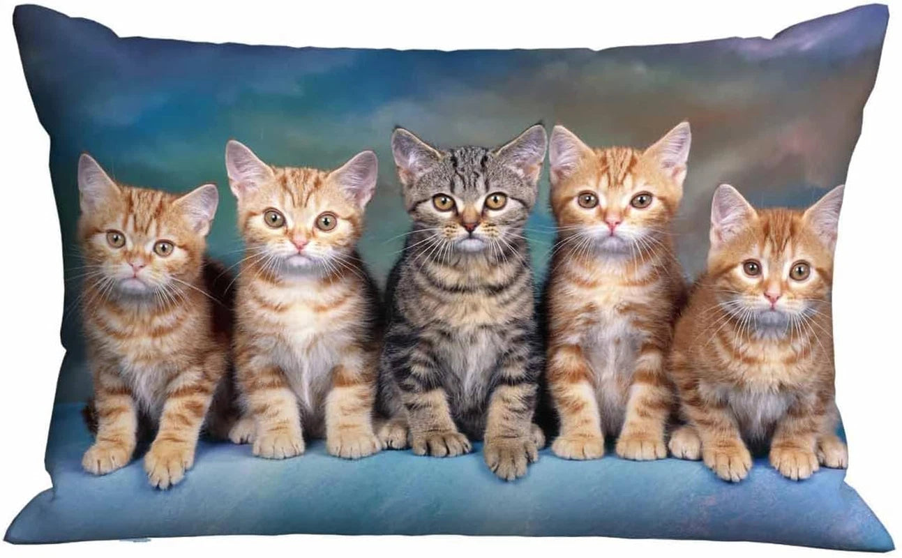 Cushion Cover Cute Kitten Cat,Pillow Case for Bed Couch Sofa Office Decor 20X30