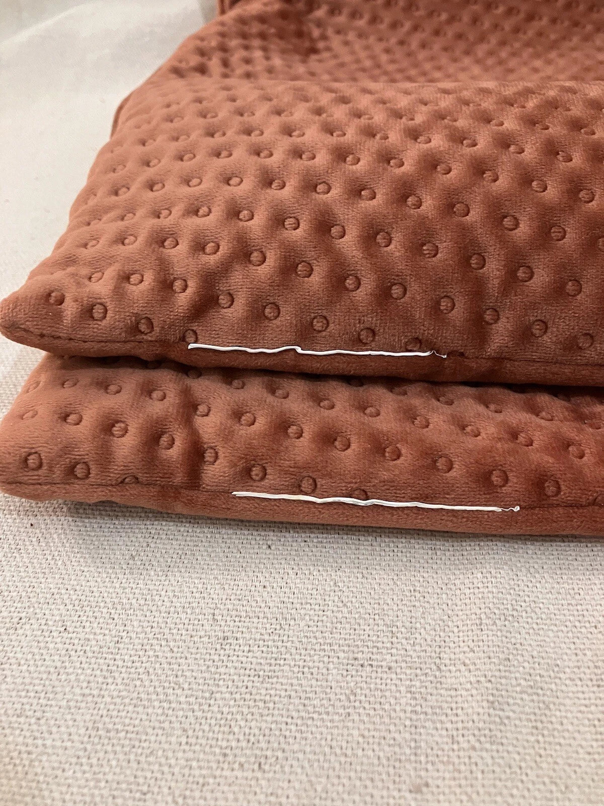 Two 20x20 Throw Pillow Covers Sofa Decor Velvet Cushion Cover Cases Premium