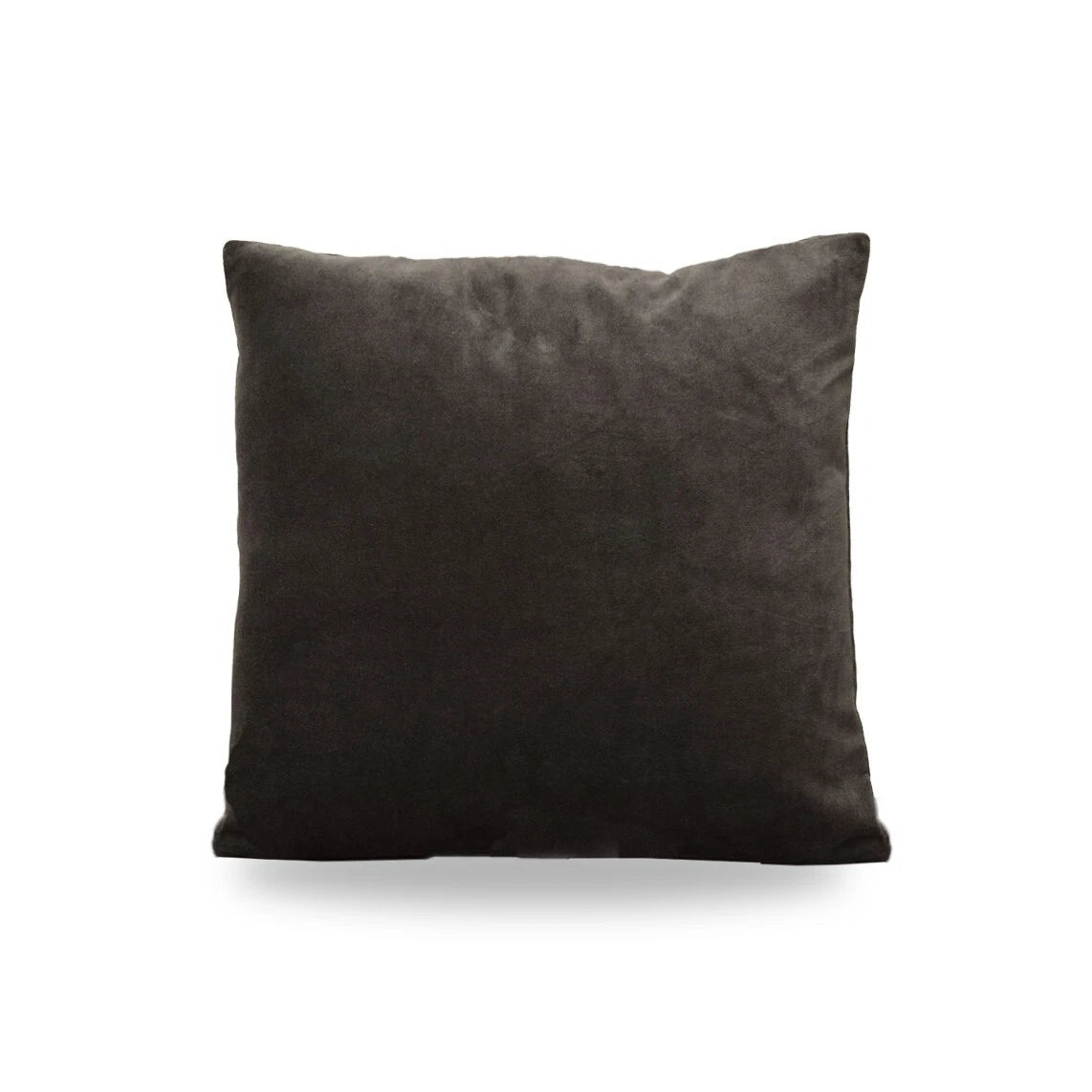 2-Pack Velvet Pillow Covers 20x20" | Soft Decorative Cushion Cases for Sofa/Bed