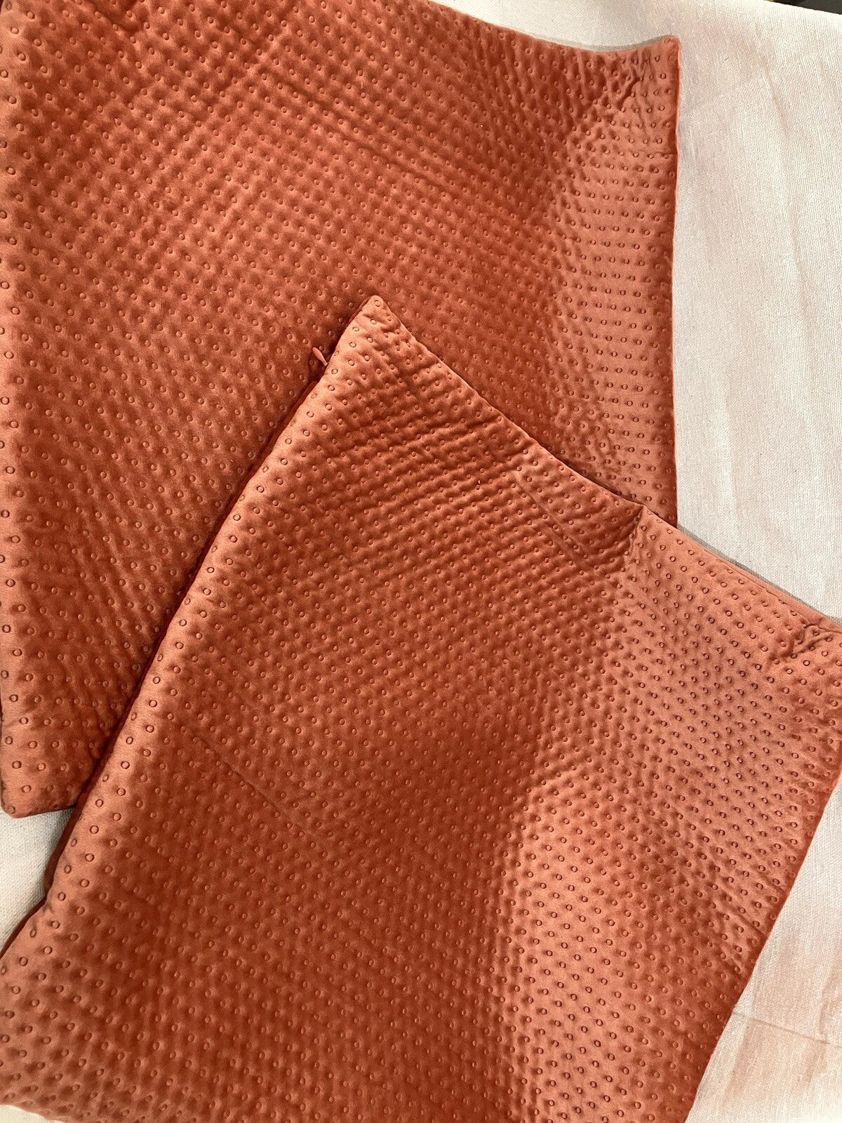 Two 20x20 Throw Pillow Covers Sofa Decor Velvet Cushion Cover Cases Premium