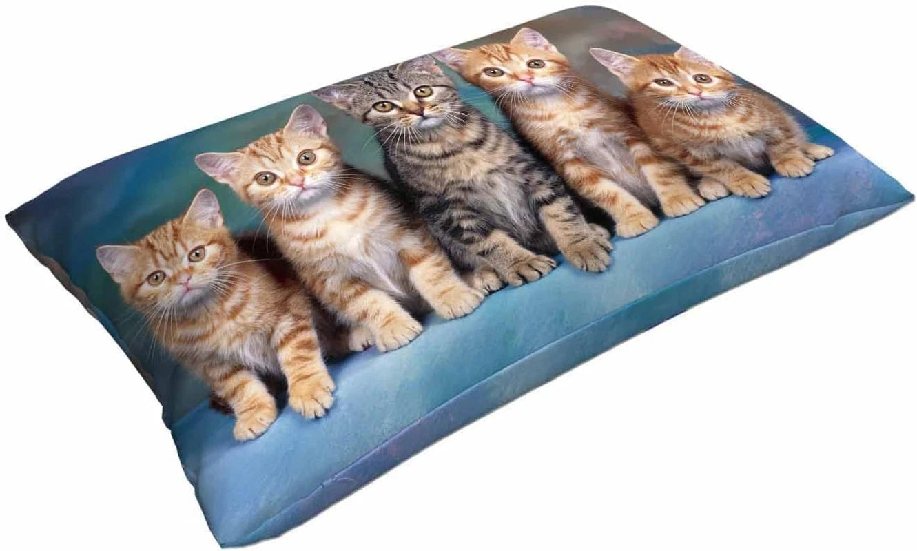 Cushion Cover Cute Kitten Cat,Pillow Case for Bed Couch Sofa Office Decor 20X30