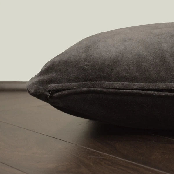 2-Pack Velvet Pillow Covers 20x20" | Soft Decorative Cushion Cases for Sofa/Bed