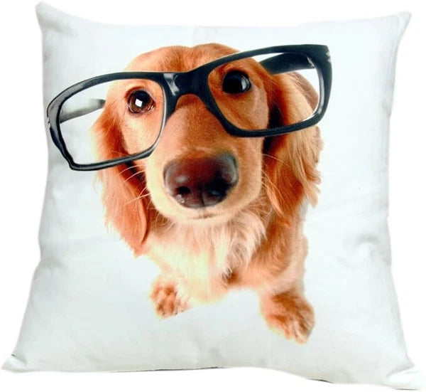 Cushion Cover Animal Print for Home Sofa Chair Bed Couch, Decorative Pillowcases