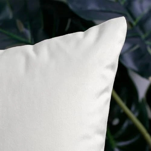 2 Pack Soft Velvet 20" x 20" (Pack of 2) White (Only Pillow Covers,no Inserts)