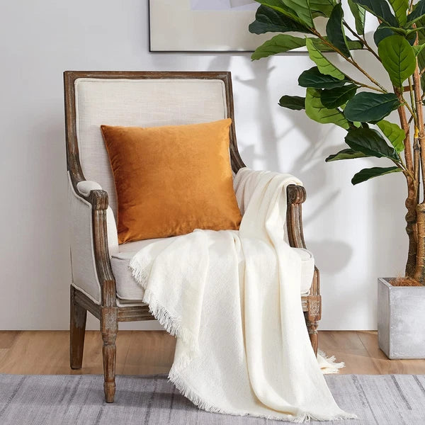 2 Pack Cinnamon Orange Velvet Pillow Covers for Sofa & Bed