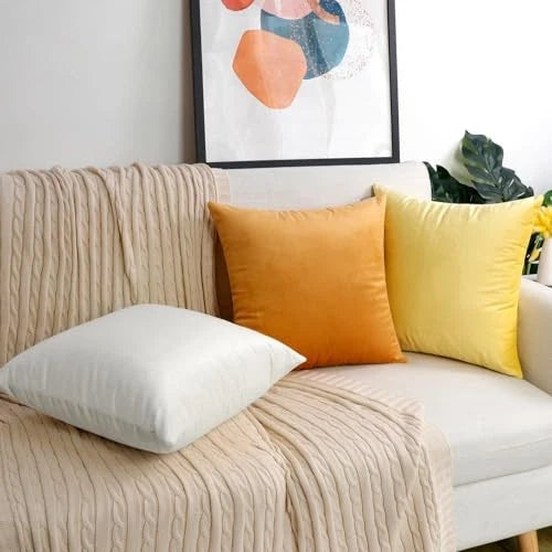 2 Pack Soft Velvet 20" x 20" (Pack of 2) White (Only Pillow Covers,no Inserts)