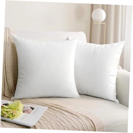 2 Pack Soft Velvet 20" x 20" (Pack of 2) White (Only Pillow Covers,no Inserts)