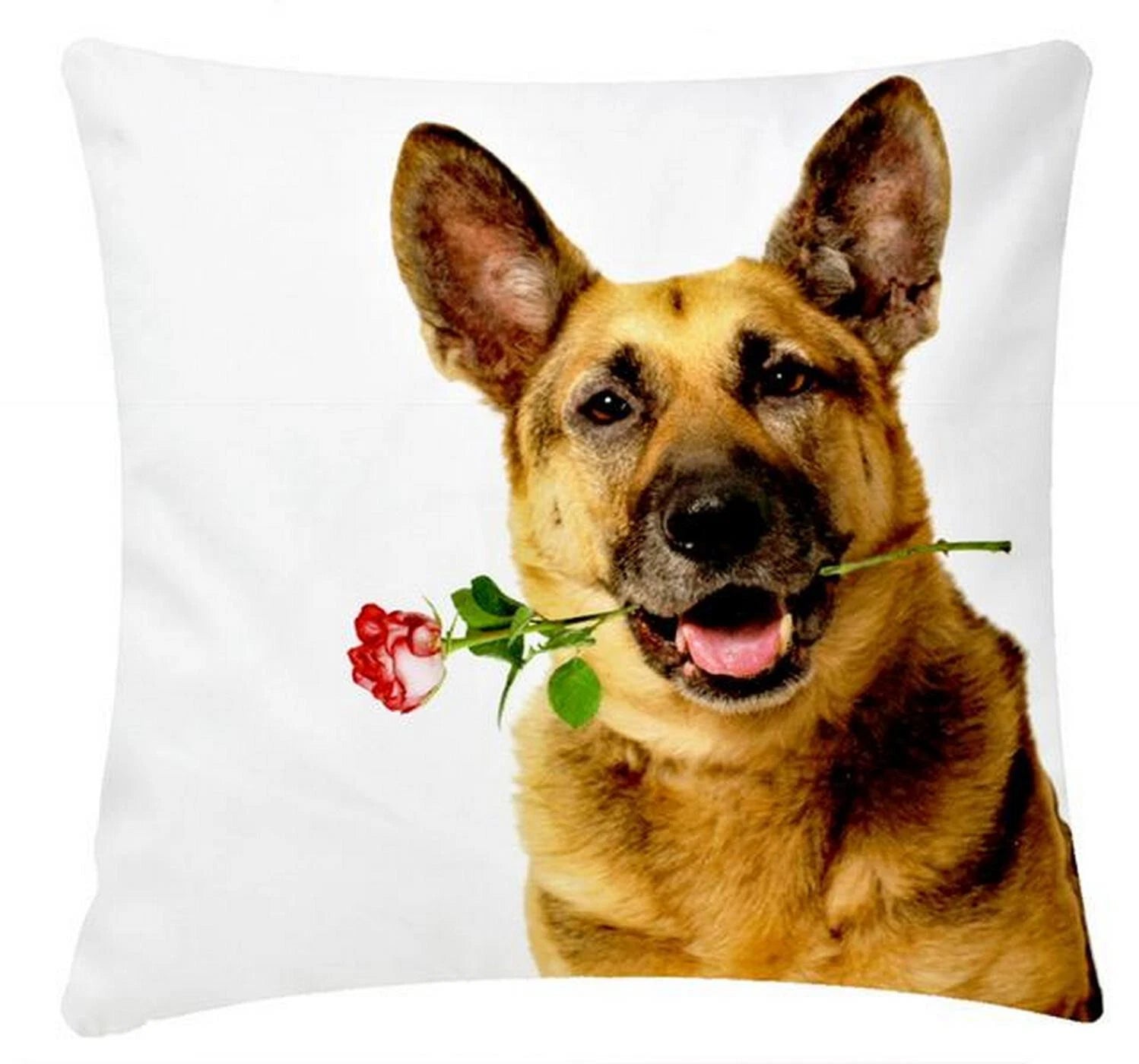 Cushion Cover Animal Print for Home Sofa Chair Bed Couch, Decorative Pillowcases