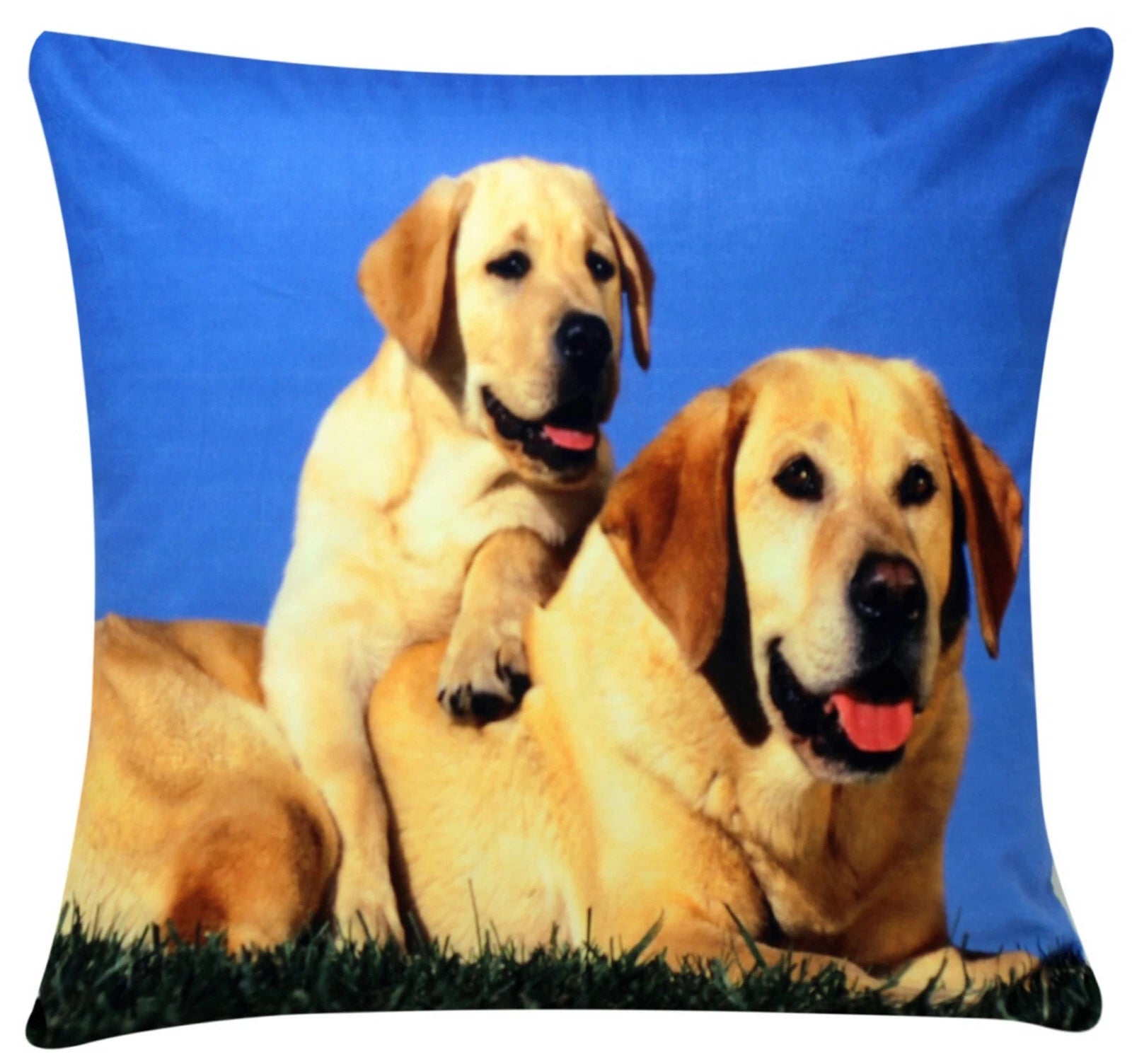 Cushion Cover Animal Print for Home Sofa Chair Bed Couch, Decorative Pillowcases