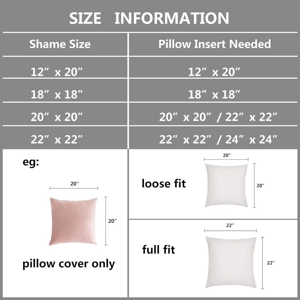 Super Soft Decorative Velvet Cushion Covers for Sofa Couch Bed, 20 X 20 Inch (50