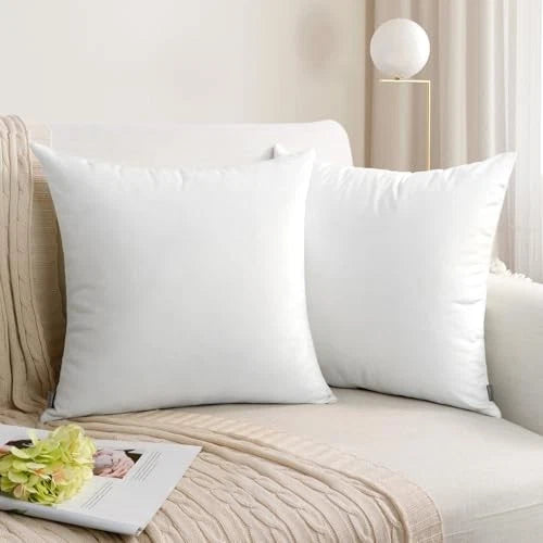 2 Pack Soft Velvet 20" x 20" (Pack of 2) White (Only Pillow Covers,no Inserts)