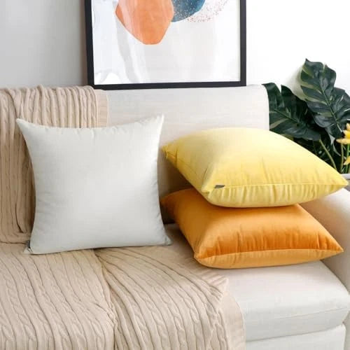 2 Pack Soft Velvet 20" x 20" (Pack of 2) White (Only Pillow Covers,no Inserts)